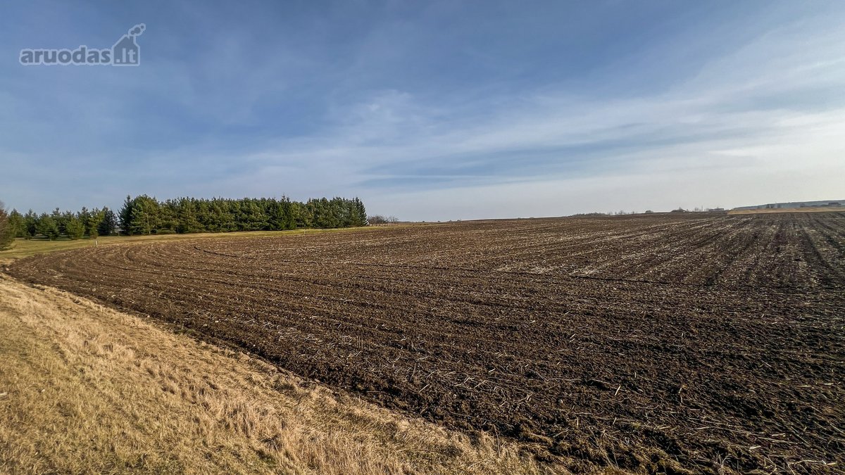 Parduodamas 1,6 Ha Žemės Ūkio Paskirties - nuotraukos Nr. 11