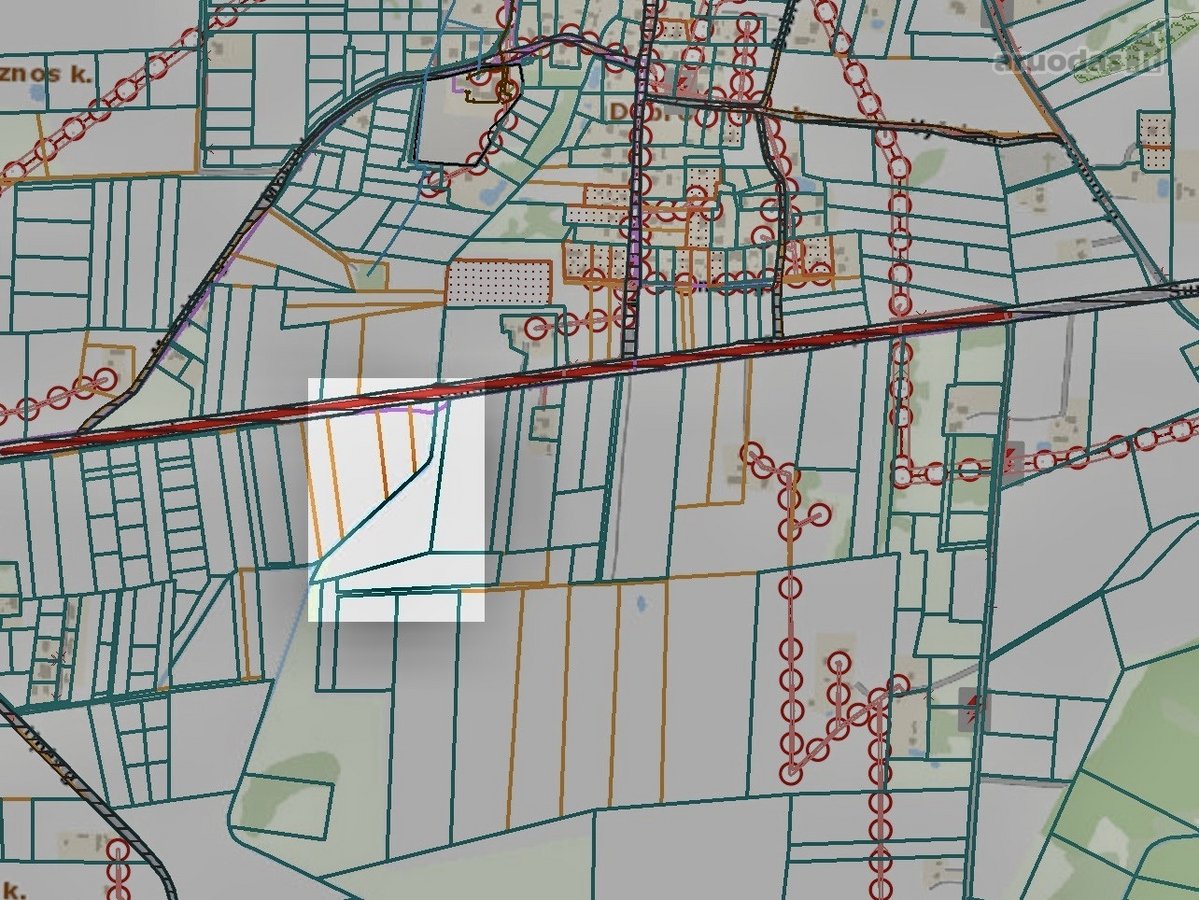 Parduodamas 1,6 Ha Žemės Ūkio Paskirties - nuotraukos Nr. 8