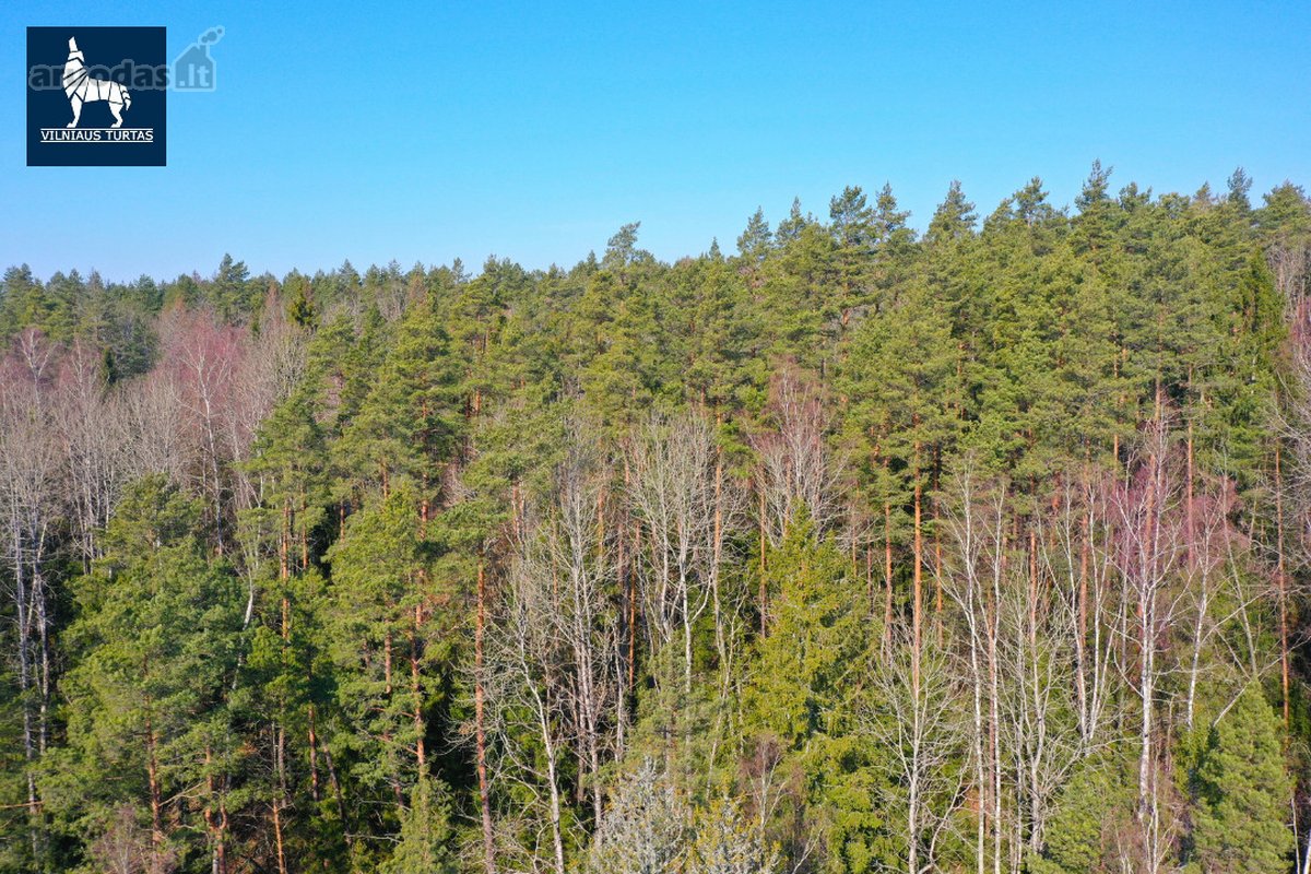 Parduodamas Miškų ūkio paskirties sklypas