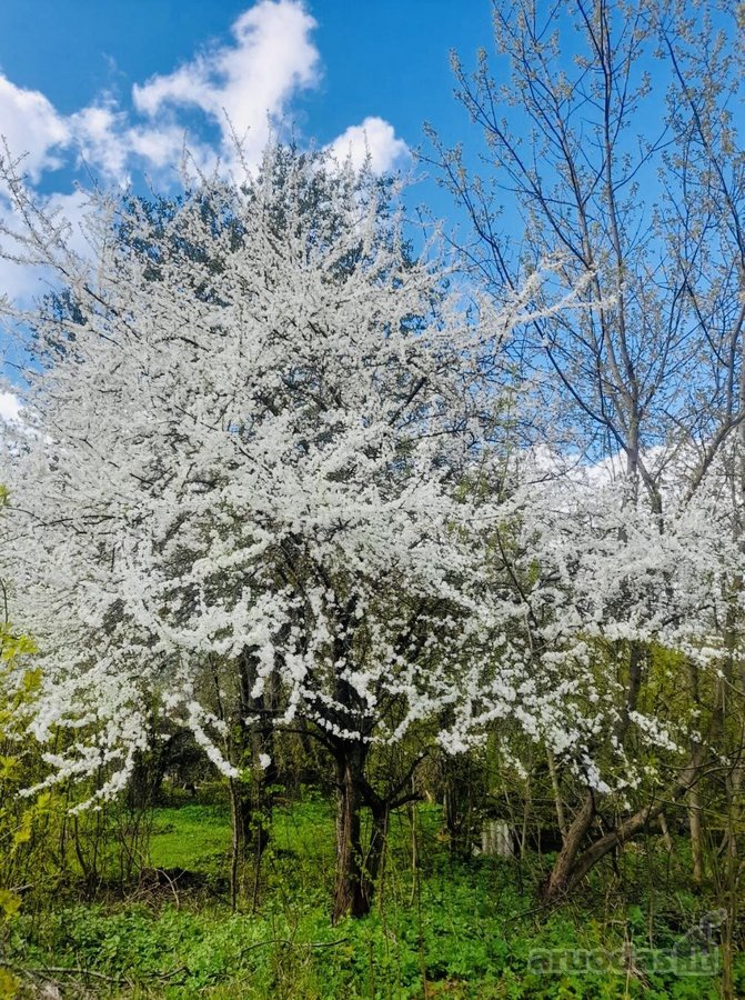 Parduodamas Namas (Sklypo plotas 659m2) - nuotraukos Nr. 14