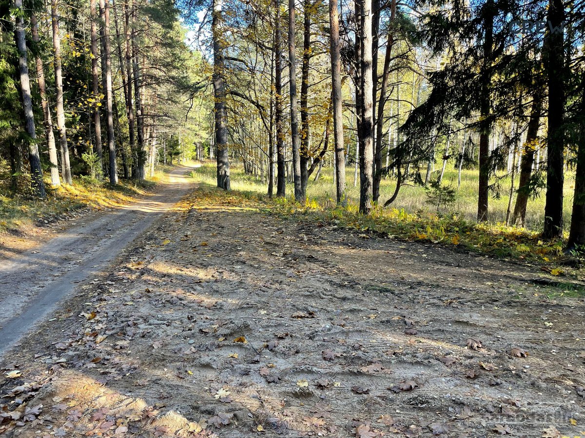 Sklypas Sodybai Ant Luodžio Ežero Kranto Su - nuotraukos Nr. 18