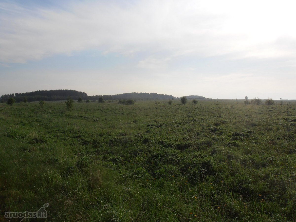 Vilniaus rajone, Nemenčinės seniūnijoje, - nuotraukos Nr. 4