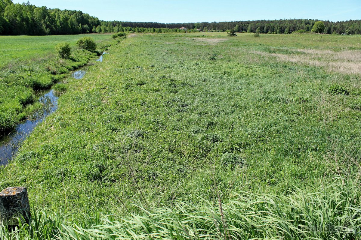 Parduodamas Namų Valdos Sklypas Šalia - nuotraukos Nr. 2