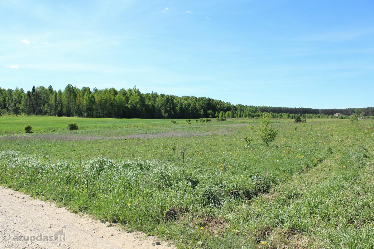 Parduodamas Namų Valdos Sklypas Šalia - nuotraukos Nr. 6