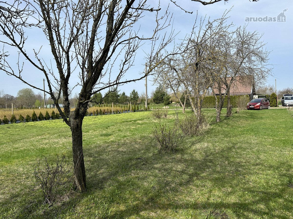 Skubiai parduodamas 7.21 arų sodo sklypas už - nuotraukos Nr. 11