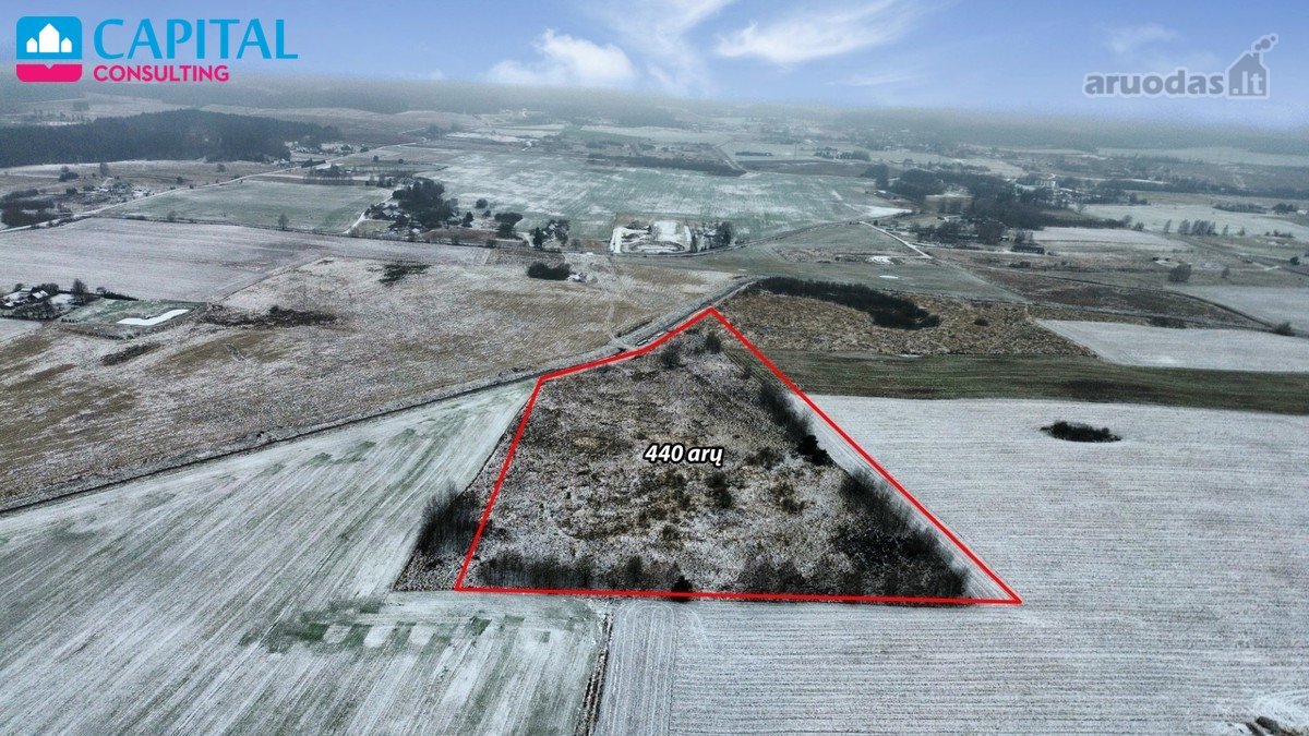 Parduodamas 4.40 ha žemės sklypas Vilniaus - nuotraukos Nr. 2