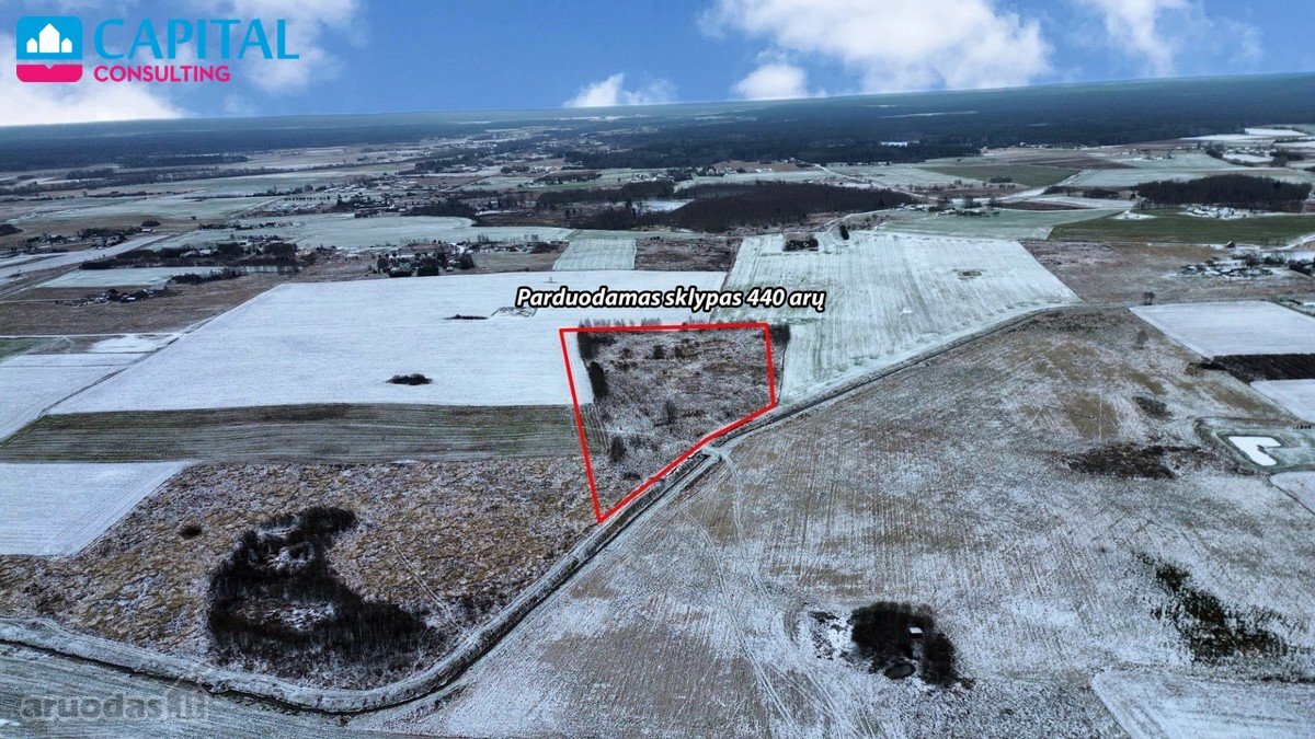 Parduodamas 4.40 ha žemės sklypas Vilniaus - nuotraukos Nr. 3