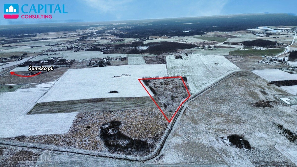 Parduodamas 4.40 ha žemės sklypas Vilniaus - nuotraukos Nr. 4