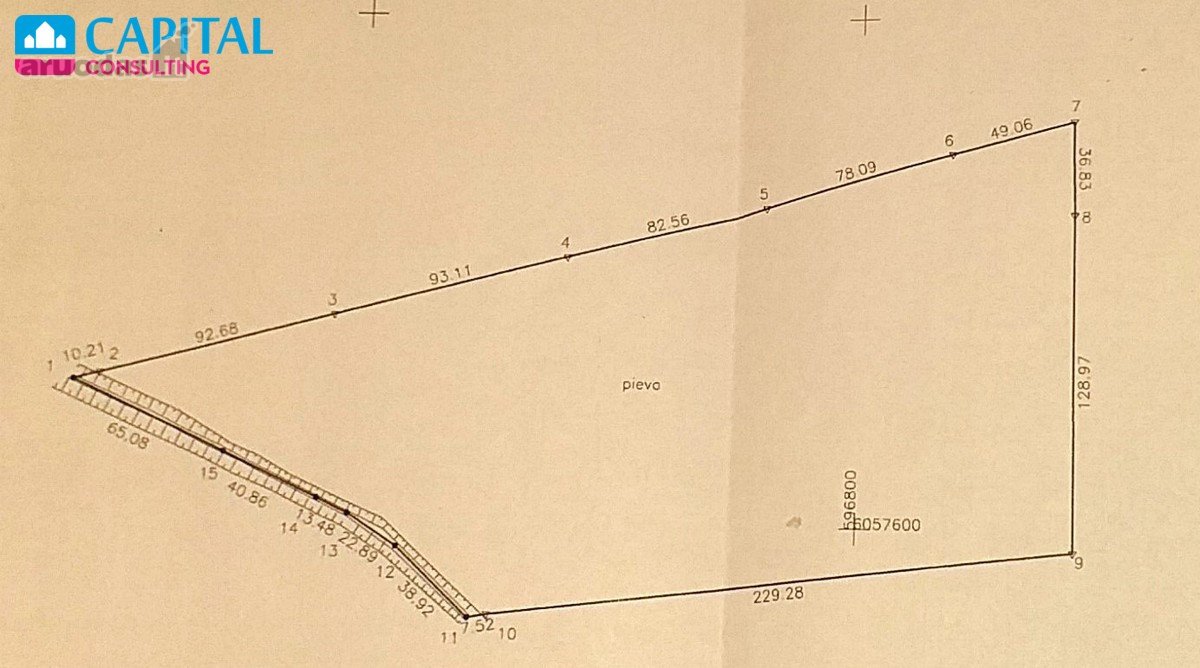 Parduodamas 4.40 ha žemės sklypas Vilniaus - nuotraukos Nr. 5