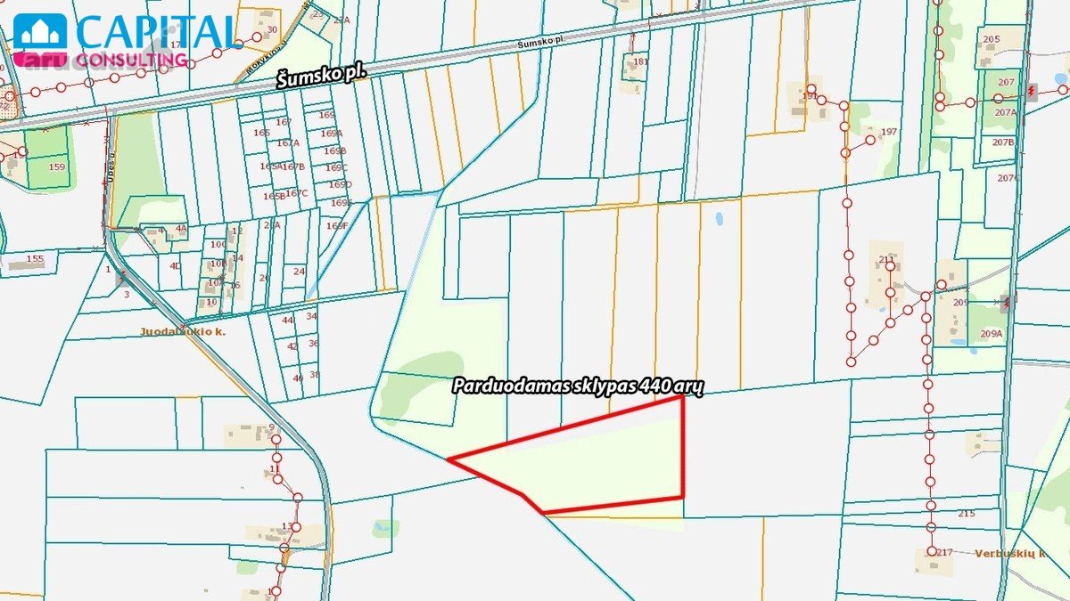 Parduodamas 4.40 ha žemės sklypas Vilniaus - nuotraukos Nr. 6