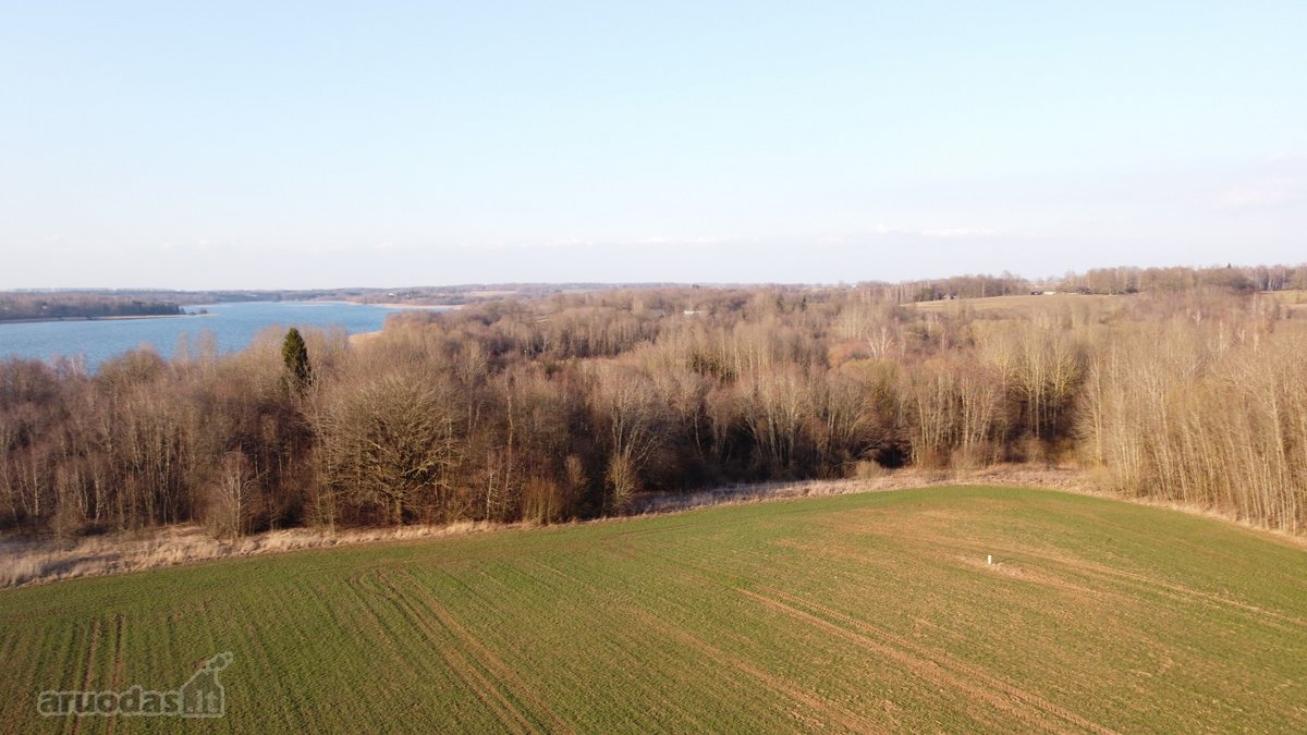 Už patrauklią kainą – tik 66900 Eur. - nuotraukos Nr. 7