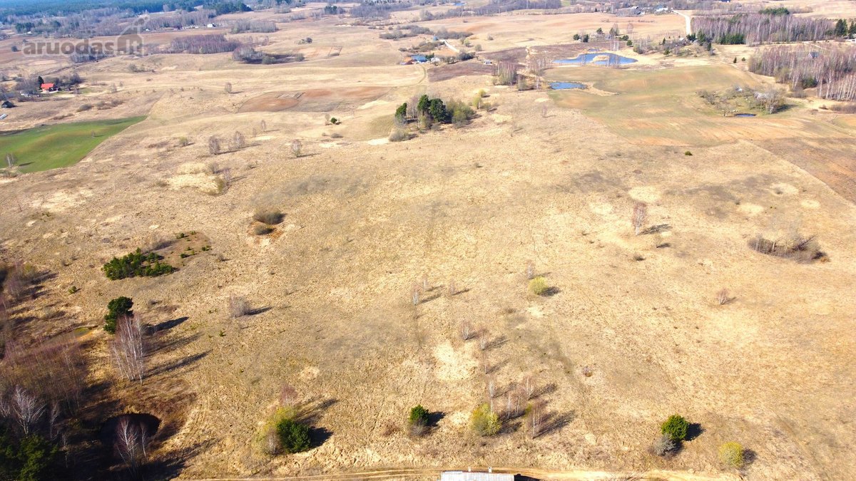 Parduodamas išskirtinis 2,71 ha sklypas - nuotraukos Nr. 3