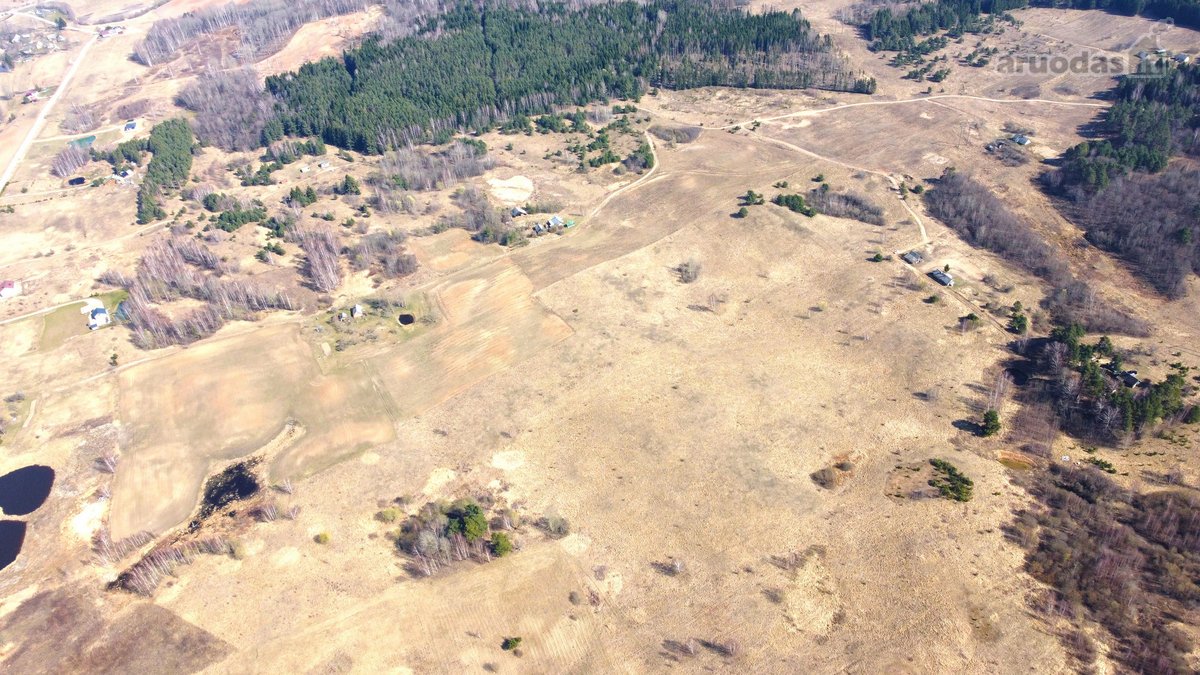 Parduodamas išskirtinis 2,71 ha sklypas - nuotraukos Nr. 7