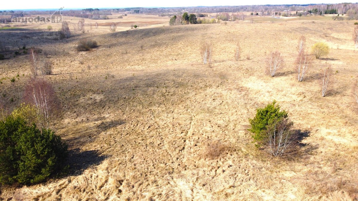 Parduodamas išskirtinis 2,71 ha sklypas - nuotraukos Nr. 14