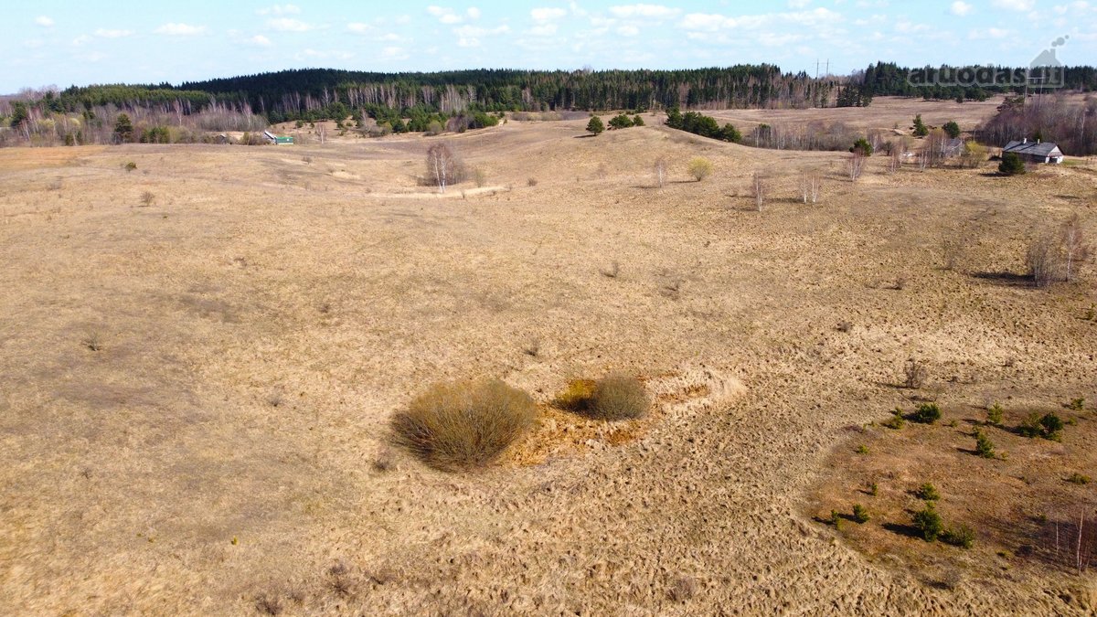 Parduodamas išskirtinis 2,71 ha sklypas - nuotraukos Nr. 15