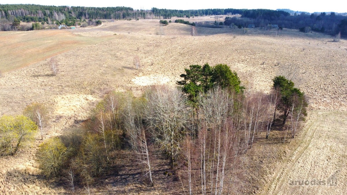 Parduodamas išskirtinis 2,71 ha sklypas - nuotraukos Nr. 16