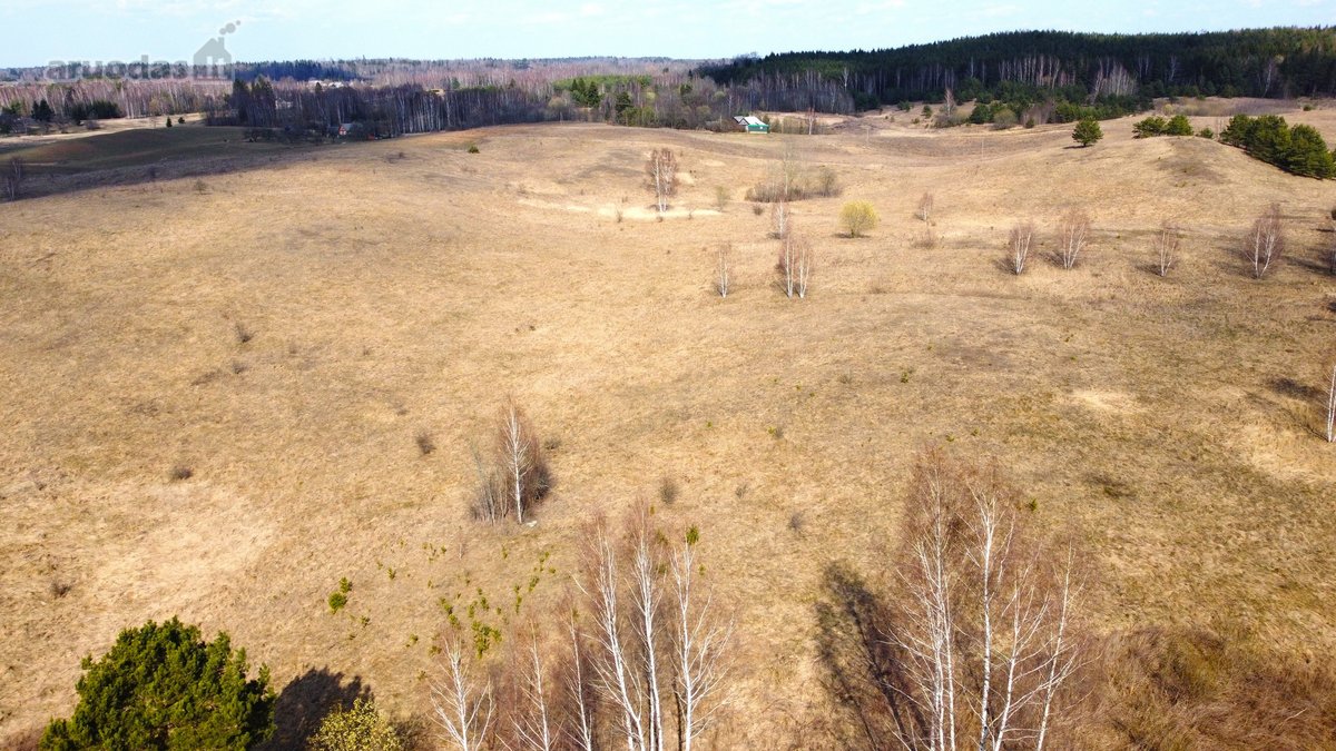 Parduodamas išskirtinis 2,71 ha sklypas - nuotraukos Nr. 18