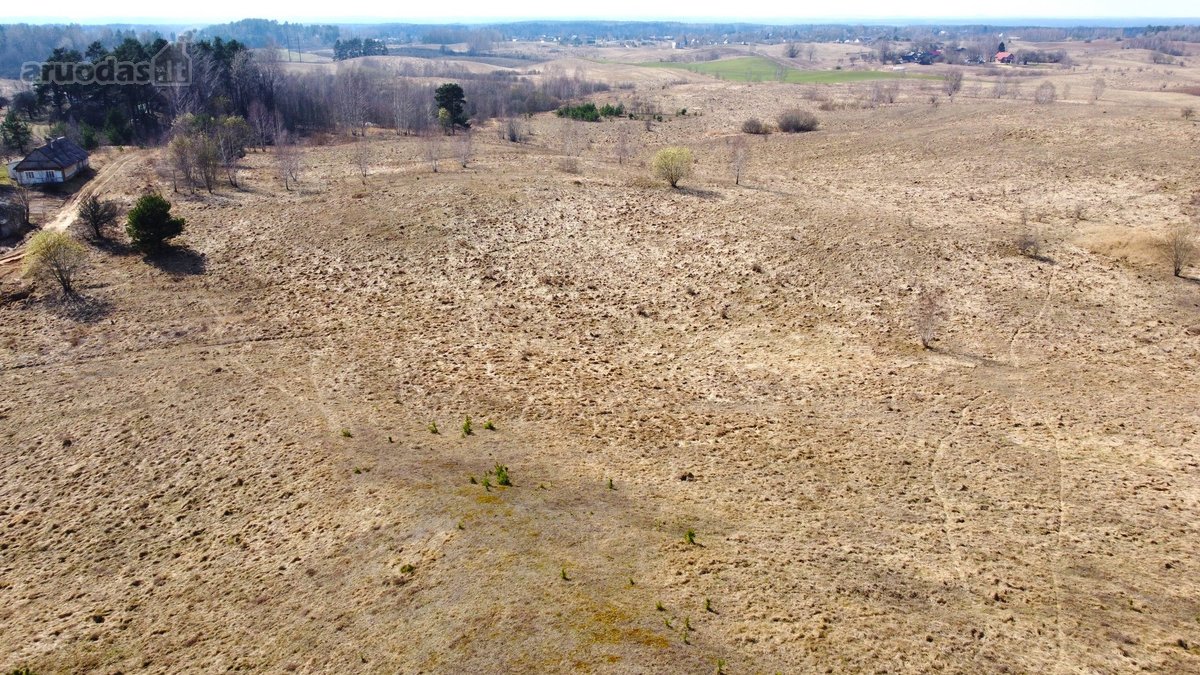 Parduodamas išskirtinis 2,71 ha sklypas - nuotraukos Nr. 19