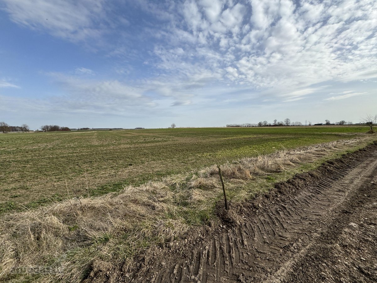 Parduodamas 1,69ha žemės ūkio paskirties - nuotraukos Nr. 3