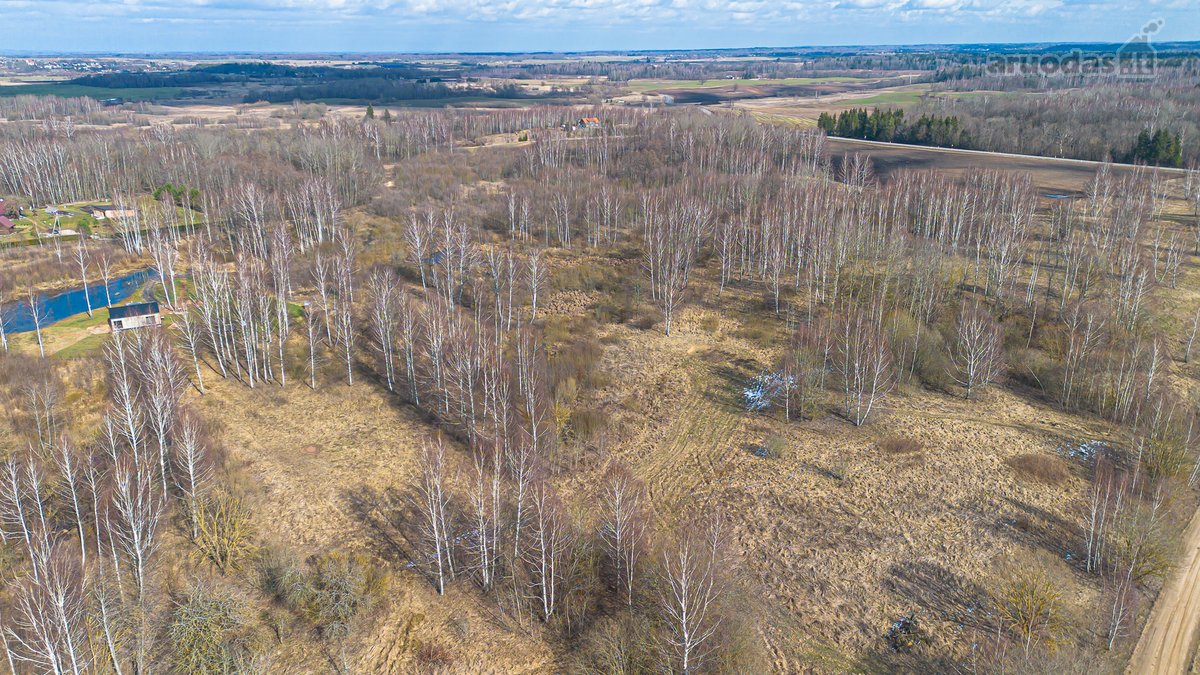 Vilniaus raj., Vėlybniškių kaime, Dūkštų sen. - nuotraukos Nr. 14