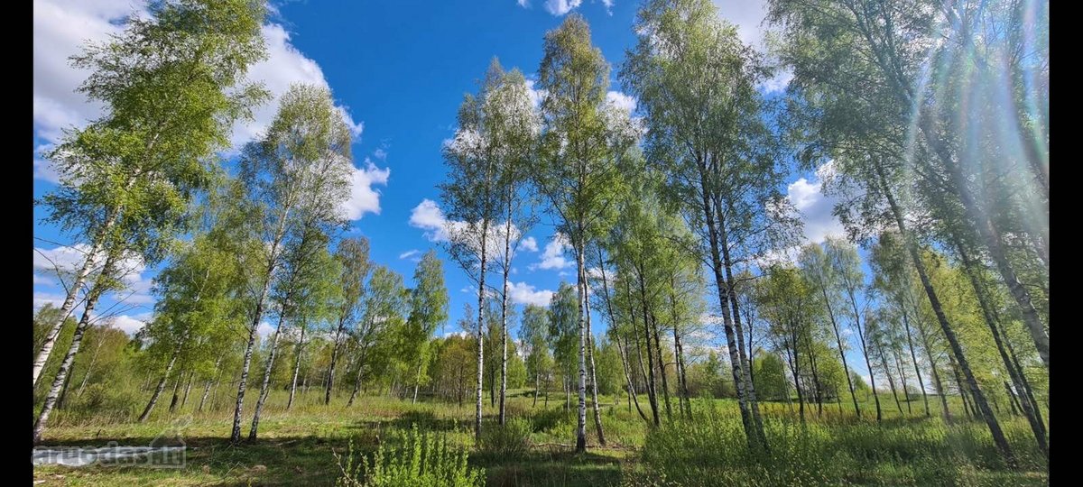 Vilniaus raj., Vėlybniškių kaime, Dūkštų sen. - nuotraukos Nr. 3
