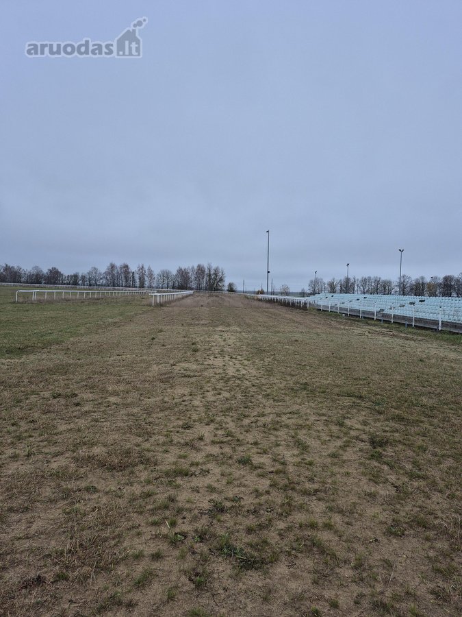 Raseinių rajono savivaldybė skelbia Raseinių - nuotraukos Nr. 12