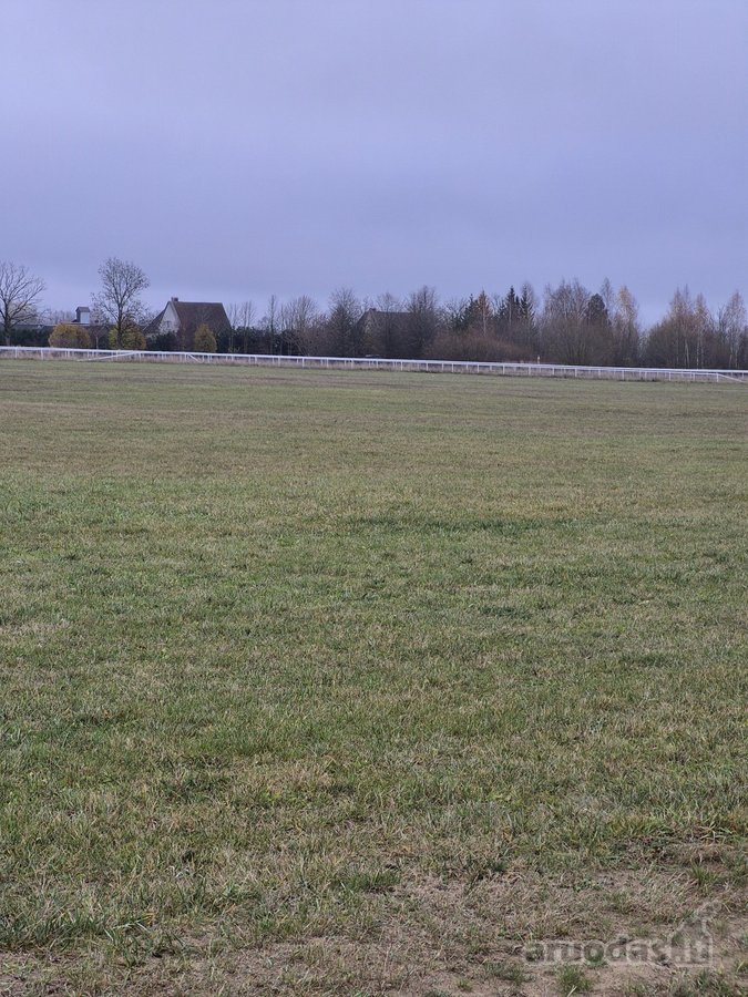 Raseinių rajono savivaldybė skelbia Raseinių - nuotraukos Nr. 13