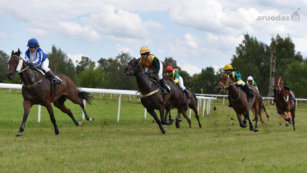 Raseinių rajono savivaldybė skelbia Raseinių