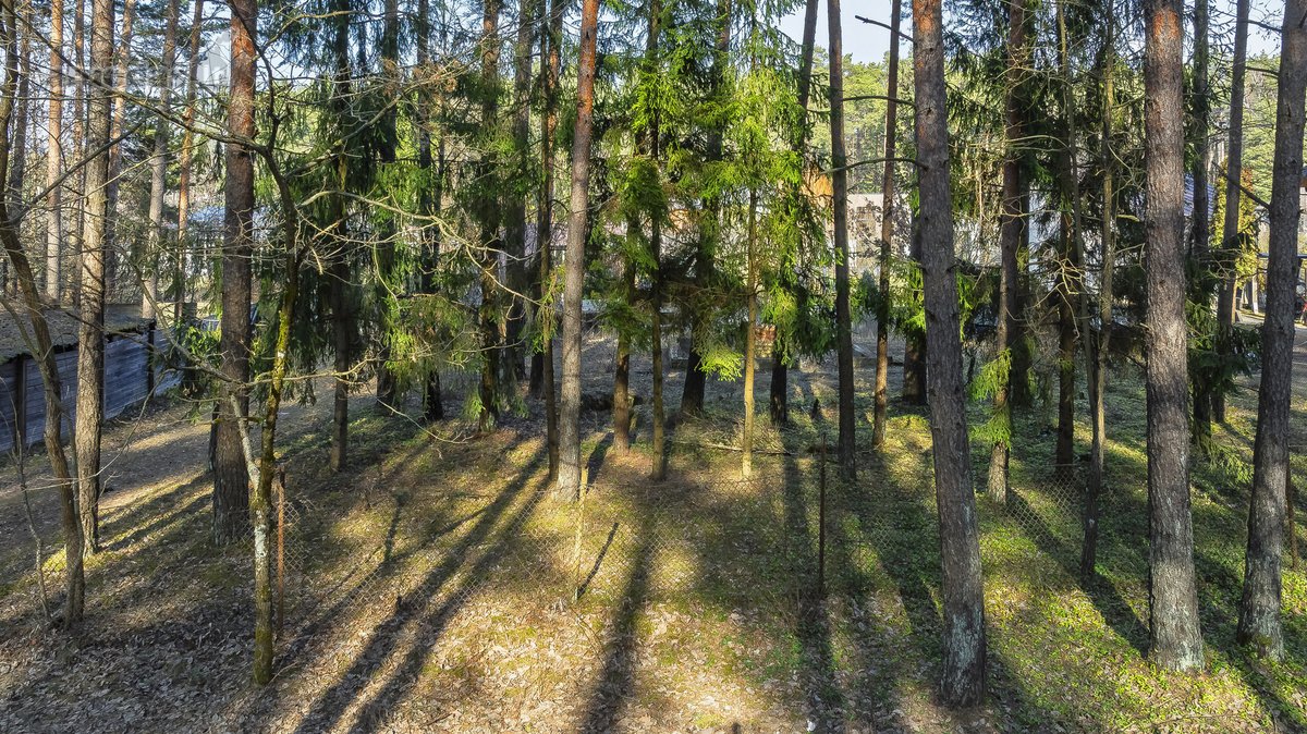 Parduodamas Sklypas Gvazdikų Gatvėje – Gamtos - nuotraukos Nr. 12