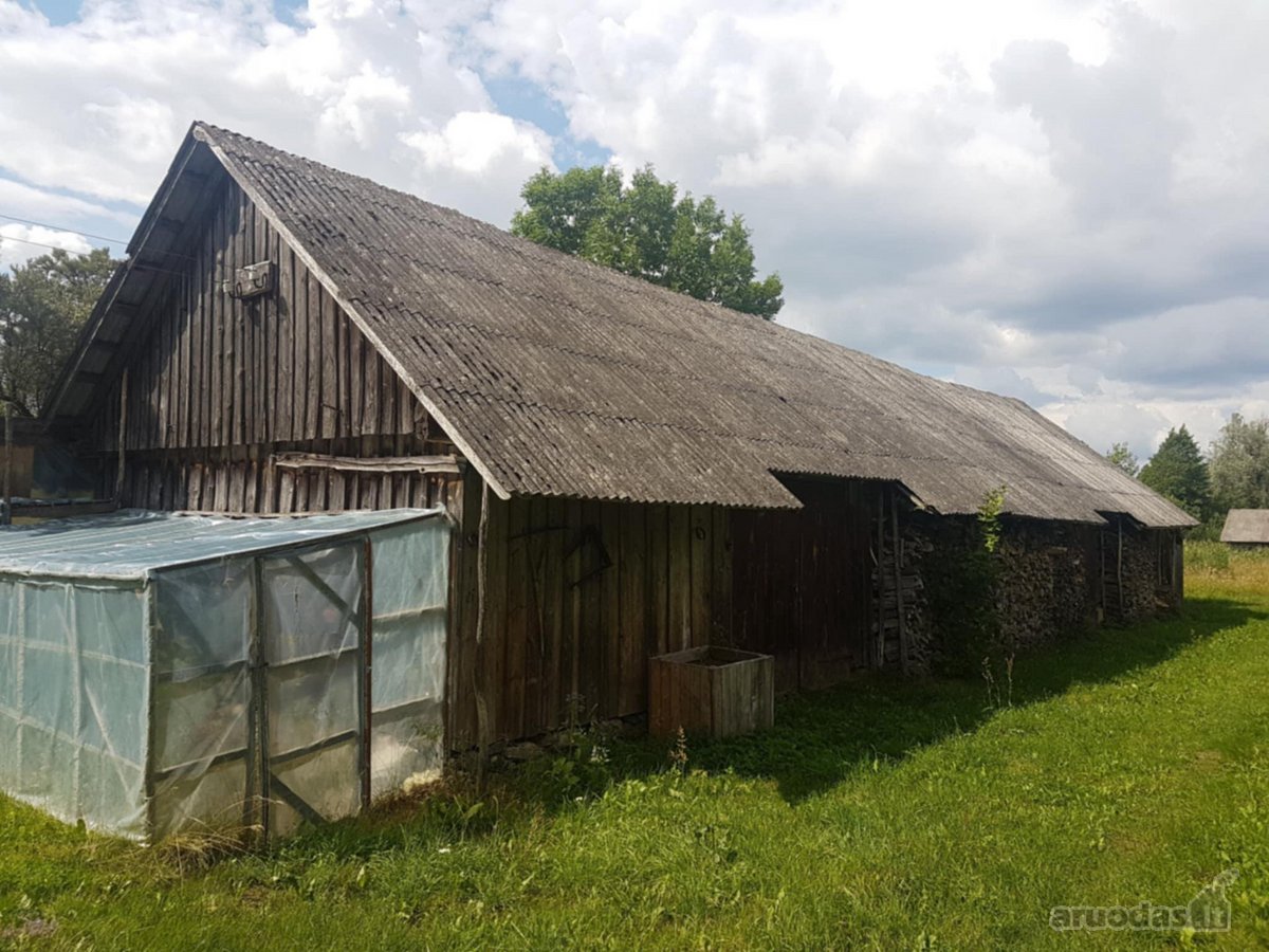 Bendras žemės sklypo plotas 4 ha. 1 ha - nuotraukos Nr. 4