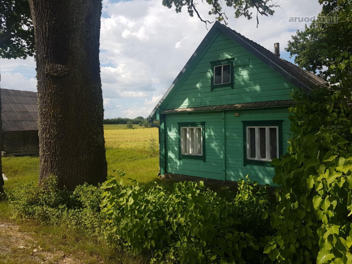 Bendras žemės sklypo plotas 4 ha. 1 ha - nuotraukos Nr. 3