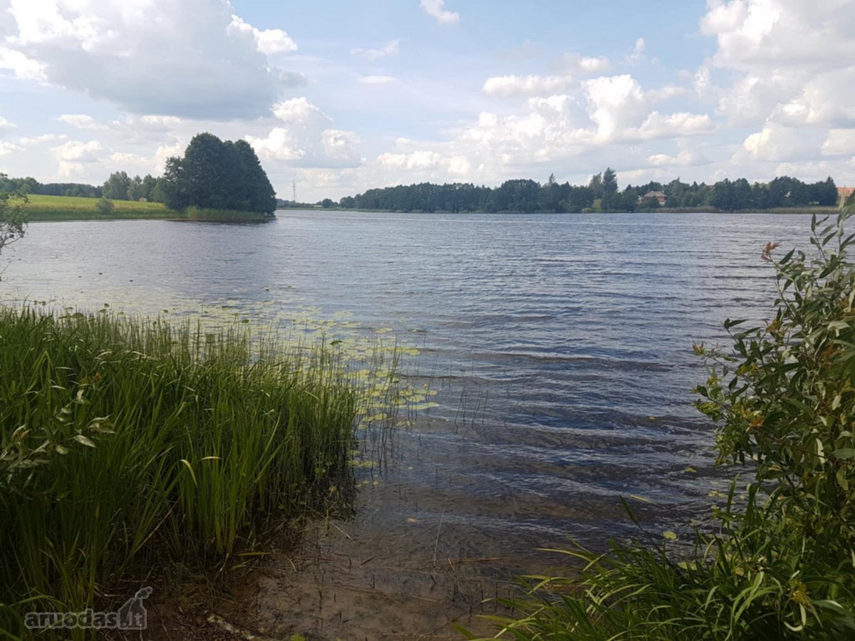 Bendras žemės sklypo plotas 4 ha. 1 ha - nuotraukos Nr. 5