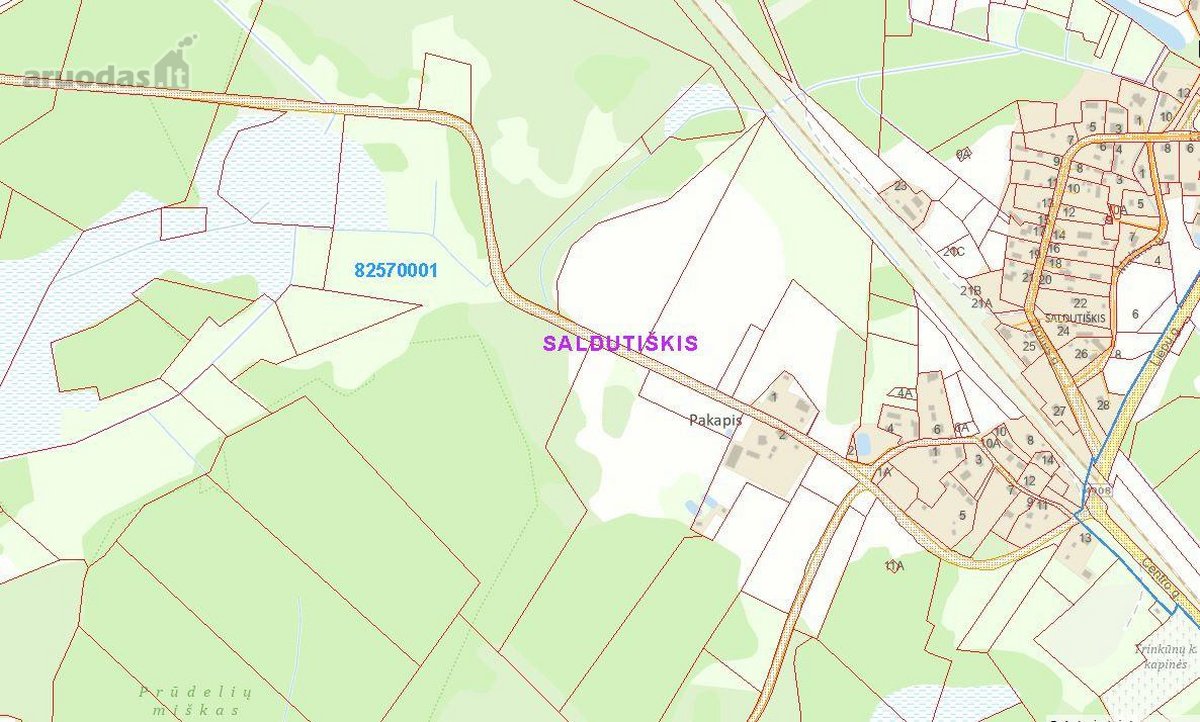 Parduodamas erdvus 14,34 ha žemės ir miškų - nuotraukos Nr. 5