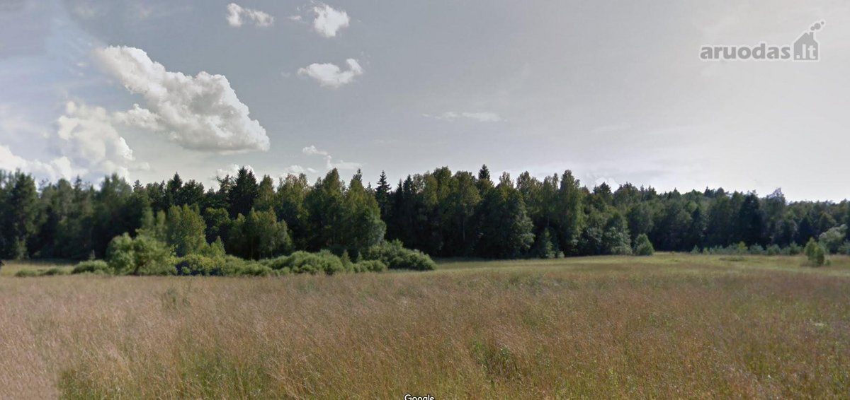 Parduodamas erdvus 14,34 ha žemės ir miškų - nuotraukos Nr. 2