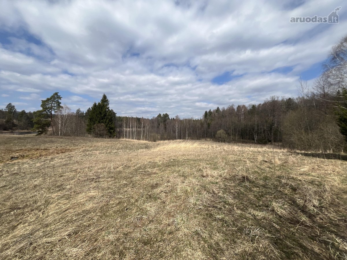 Valėniškių km., Raitininkų sen., Alytaus raj. - nuotraukos Nr. 7