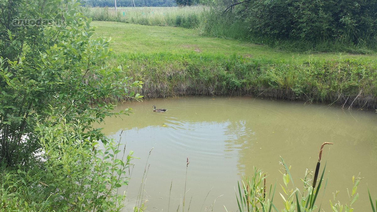 Sodyba trijų kambarių. Yra šulinys iš kurio - nuotraukos Nr. 12
