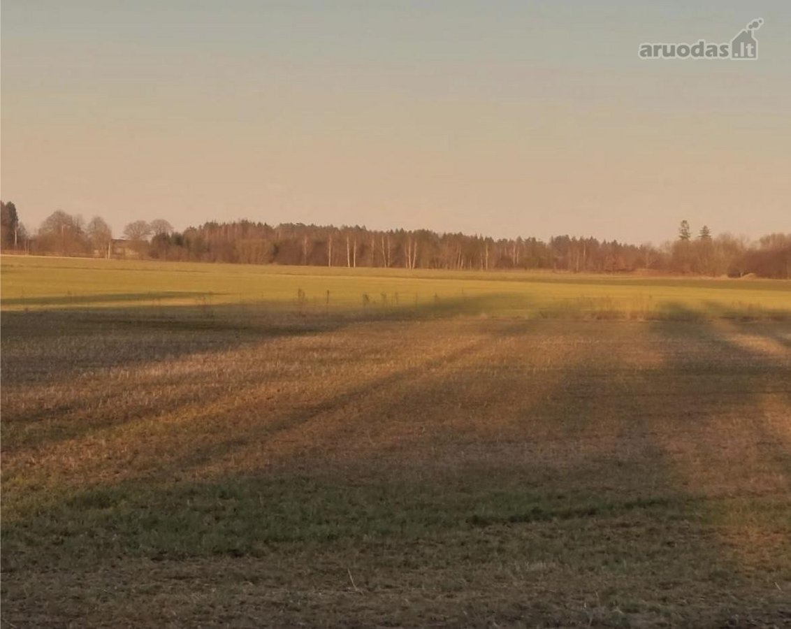 5,87 ha žemės ūkio paskirties sklypas Skuodo - nuotraukos Nr. 2