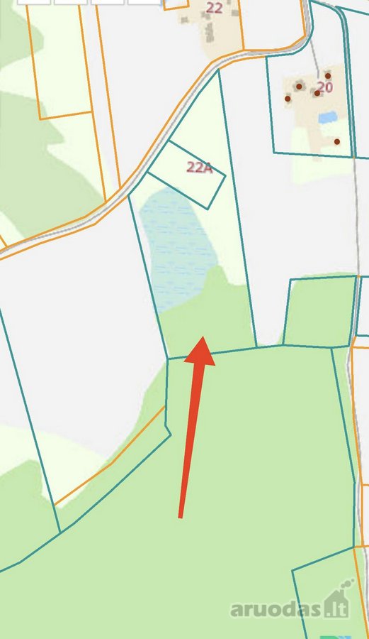 30 arų namų valdos sklypas, bendras 2,51 ha ploto - nuotraukos Nr. 7