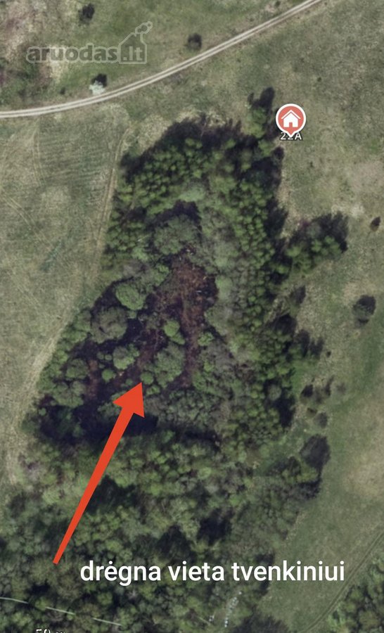 30 arų namų valdos sklypas, bendras 2,51 ha ploto - nuotraukos Nr. 31