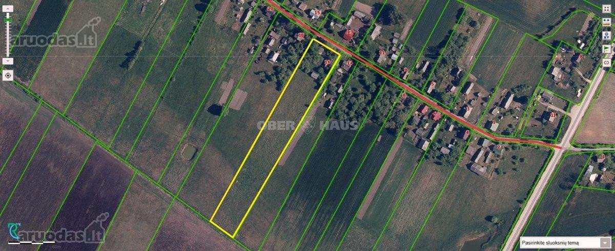 Namas randasi viduryje kaimo,apsuptas - nuotraukos Nr. 12