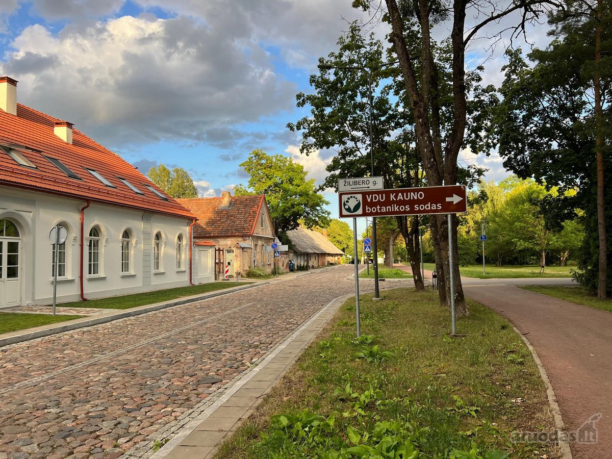 - Rugpjūčio 30 d. atsilaisvins Didelis Ir - nuotraukos Nr. 24