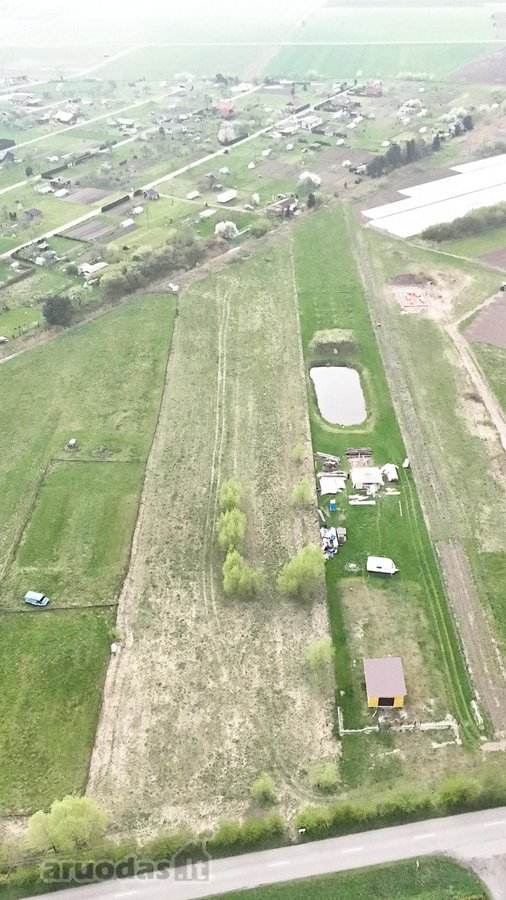 Nuostabiame gamtos kampelyje, Rusnės - nuotraukos Nr. 2
