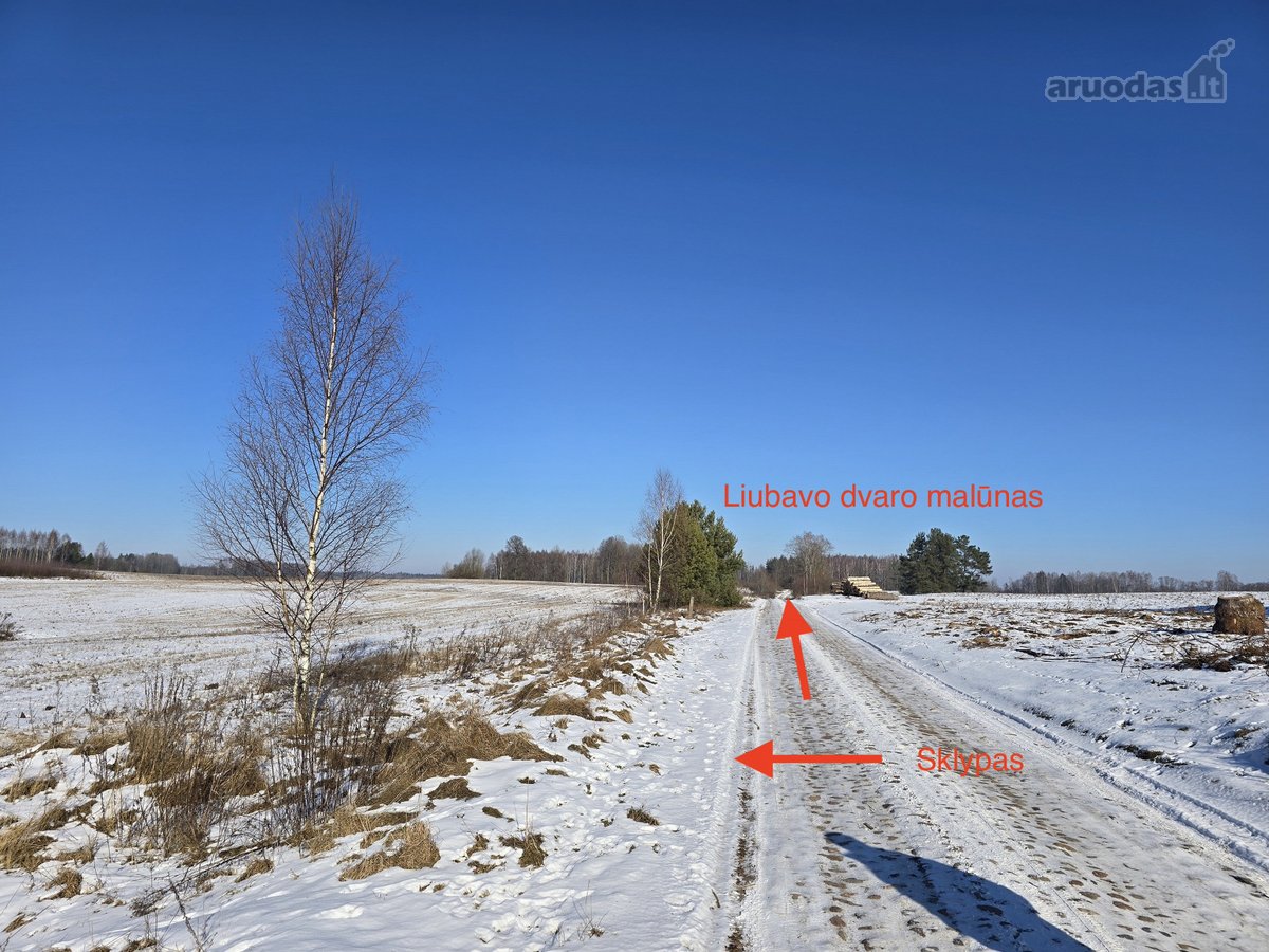Parduodamas 1.045 ha žemės ūkio paskirties