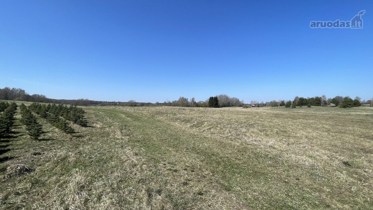 Prie Širvintos upės kranto Širvintų r. sav., - nuotraukos Nr. 9
