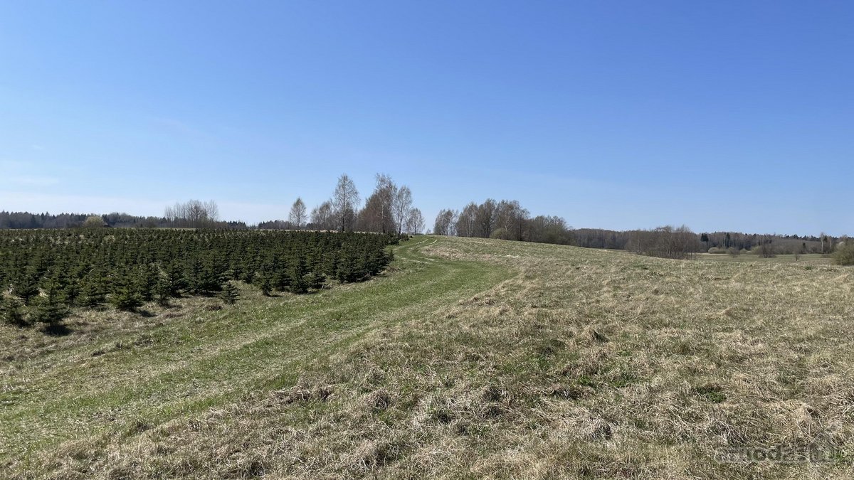Prie Širvintos upės kranto Širvintų r. sav., - nuotraukos Nr. 8