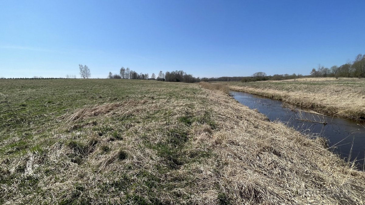 Prie Širvintos upės kranto Širvintų r. sav., - nuotraukos Nr. 7