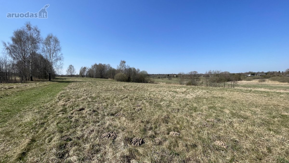Prie Širvintos upės kranto Širvintų r. sav., - nuotraukos Nr. 10