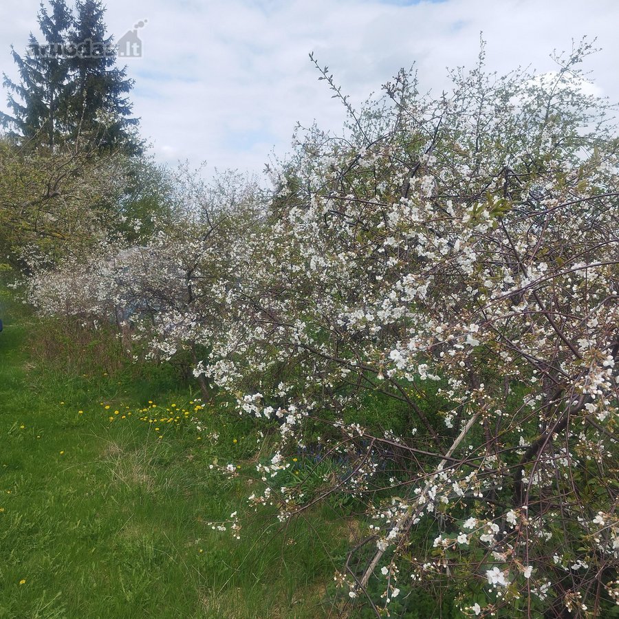 Parduodamas sodo sklypas Pasvalyje. - nuotraukos Nr. 2
