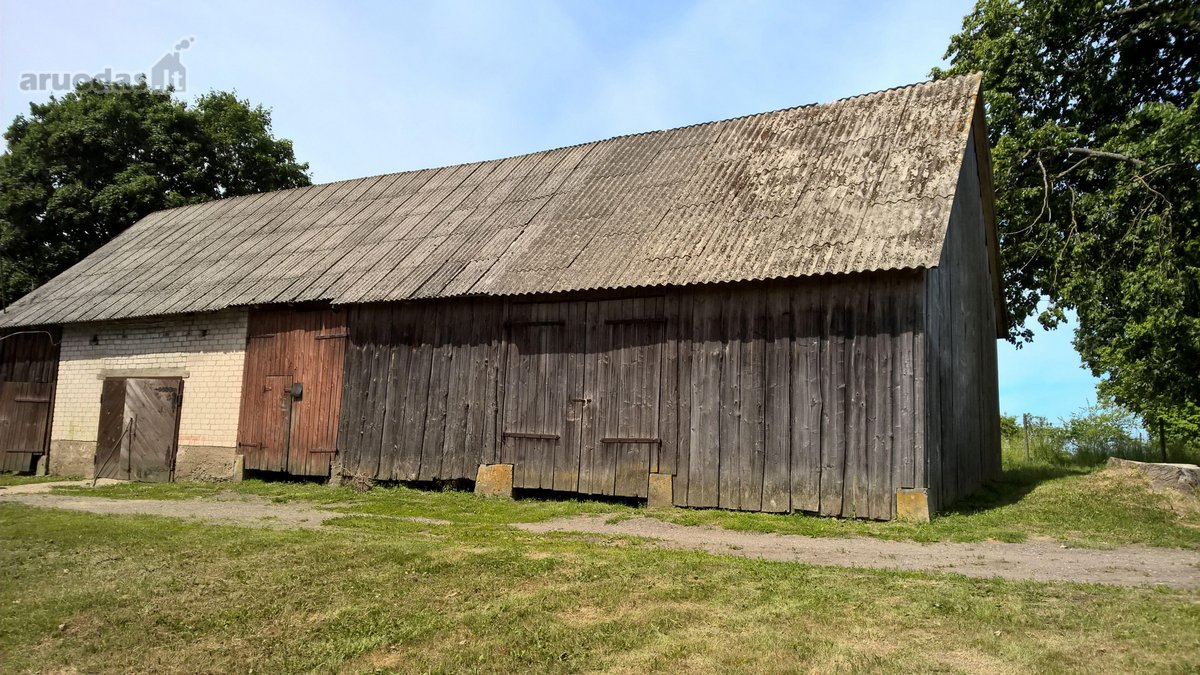 Parduodamas 3,3 ha žemės ūkio paskirties - nuotraukos Nr. 8