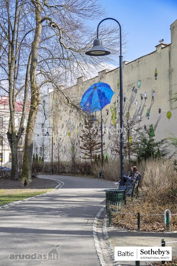 Unikalus butas Reformatų parke - nuotraukos Nr. 34